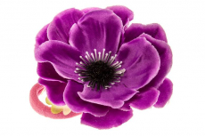 02074